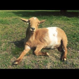 Meet your Posher, Phil